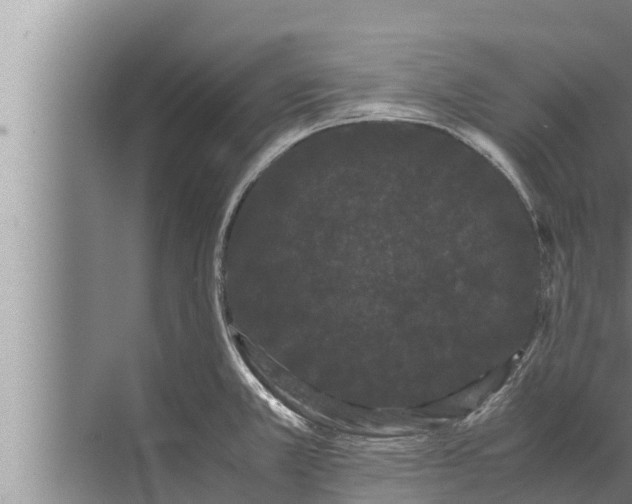 X0000072501381200607290054