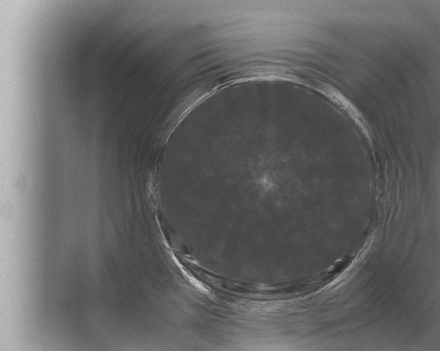 X0000072501385200607290054