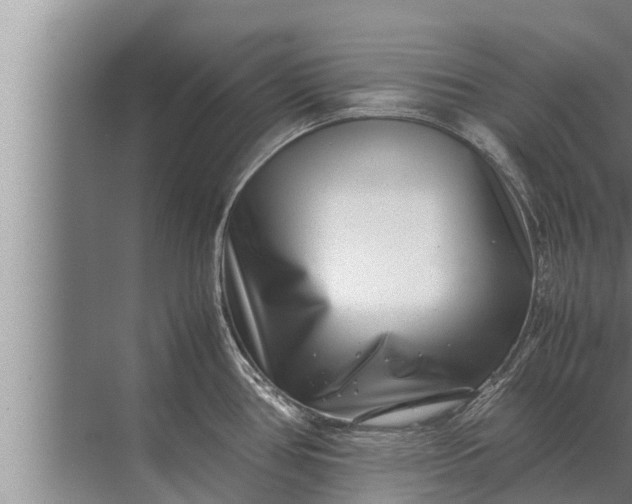 X0000072501386200607290054