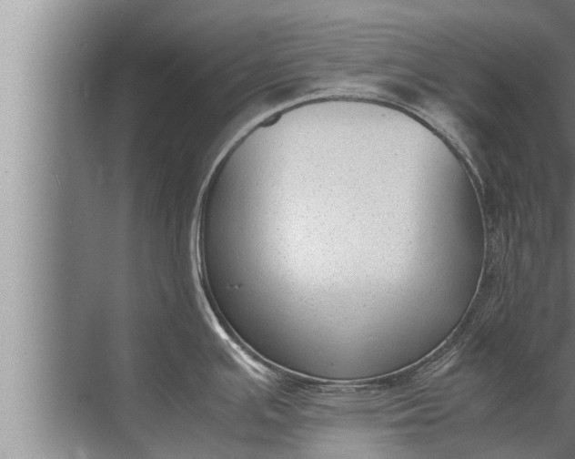 X0000072501391200607290054