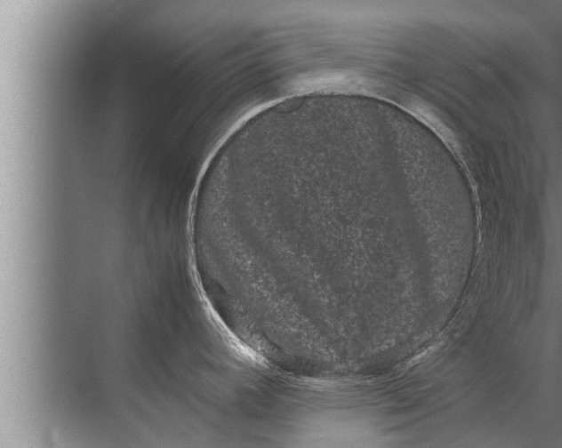 X0000072501392200607290054