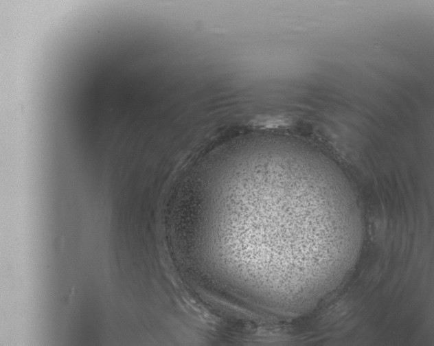 X0000072501393200607290053