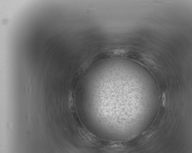 X0000072501395200607290053