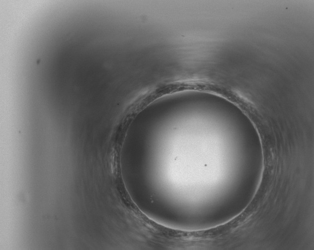 X0000072501398200607290053