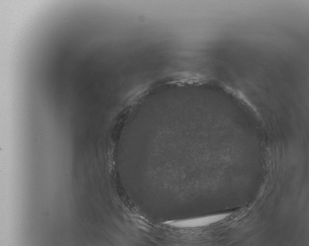 X0000072501399200607290053