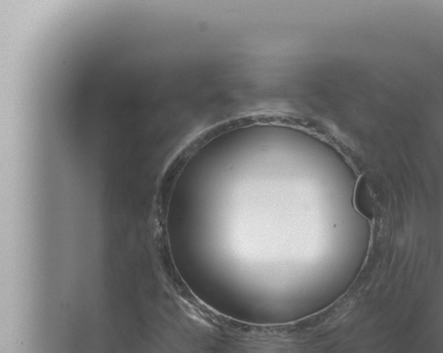 X0000072501400200607290053