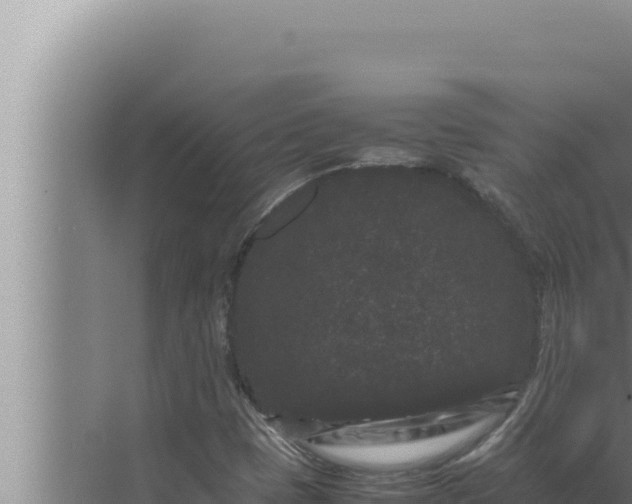 X0000072501401200607290053