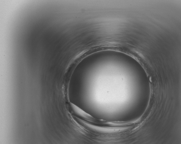 X0000072501402200607290053