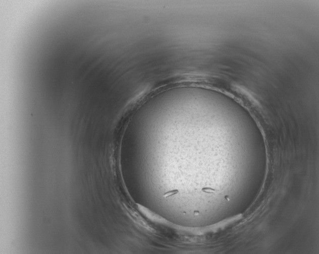 X0000072501403200607290053