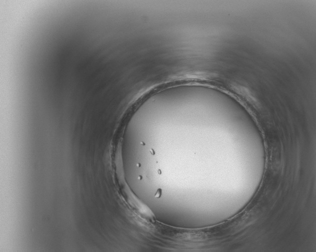 X0000072501404200607290053