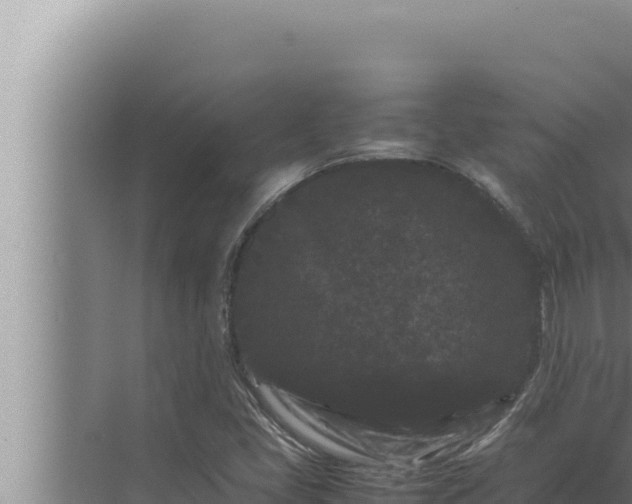 X0000072501405200607290053