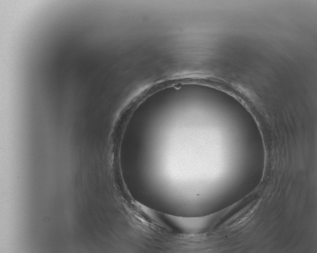 X0000072501406200607290053