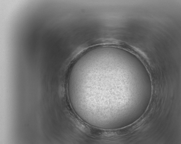 X0000072501407200607290054