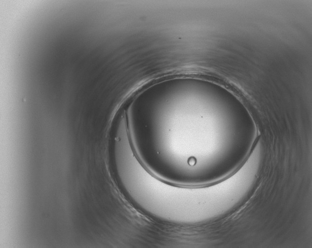 X0000072501410200607290054