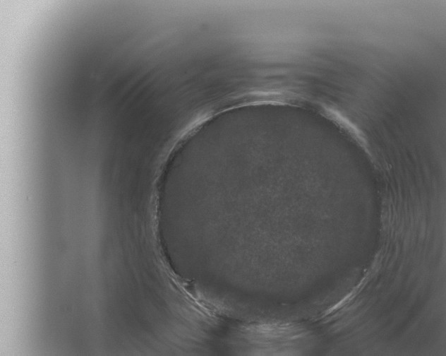 X0000072501411200607290054