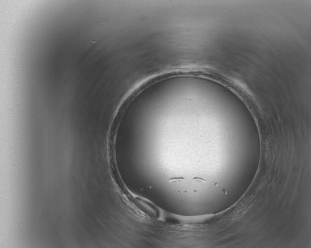 X0000072501412200607290054