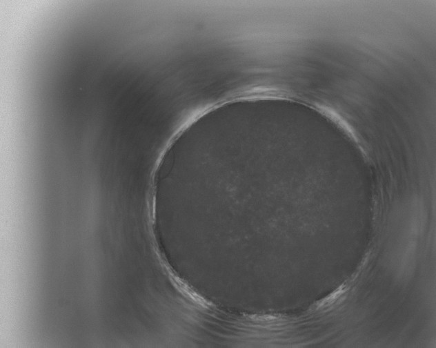 X0000072501413200607290054