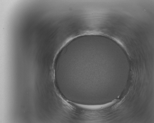 X0000072501414200607290054