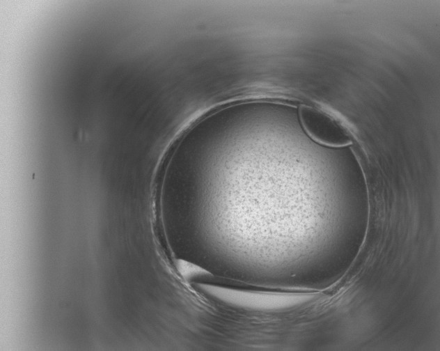 X0000072501415200607290054