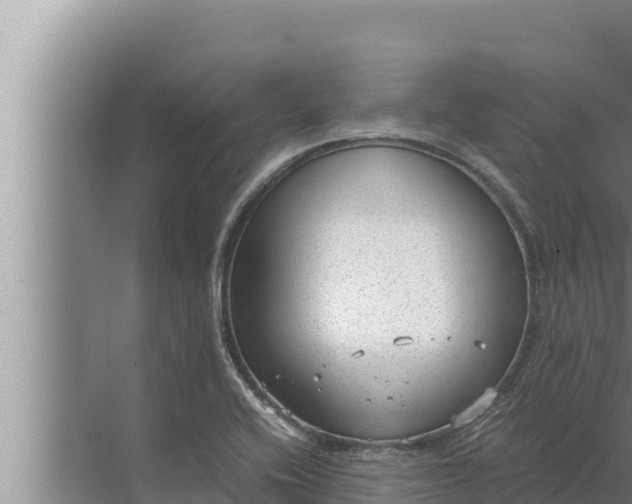 X0000072501416200607290054