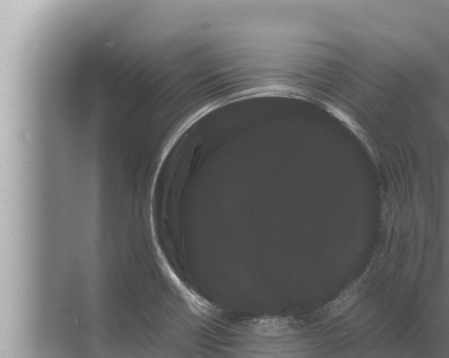 X0000072501418200607290054