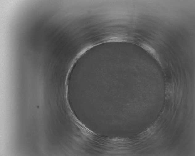 X0000072501419200607290054