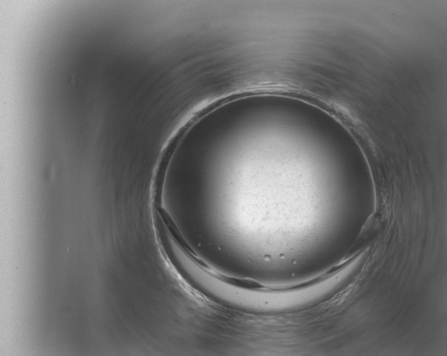 X0000072501422200607290054