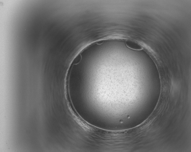 X0000072501423200607290054