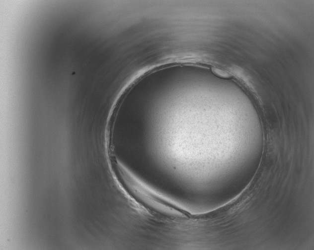 X0000072501424200607290054