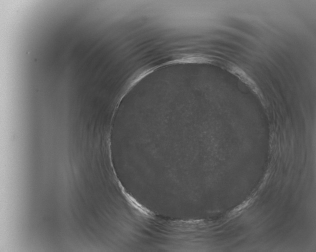 X0000072501425200607290054