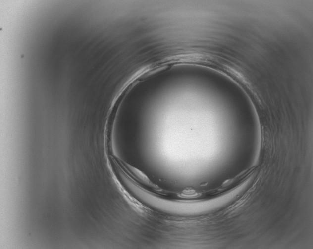 X0000072501426200607290054