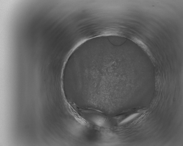 X0000072501427200607290054