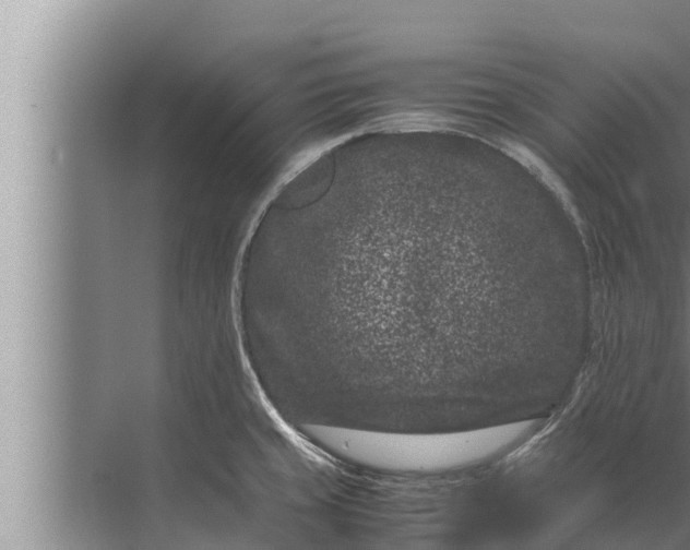 X0000072501429200607290054