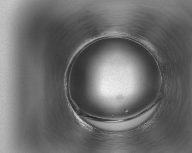 X0000072501430200607290054