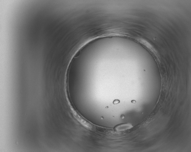 X0000072501431200607290054