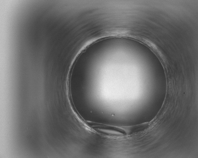 X0000072501432200607290054