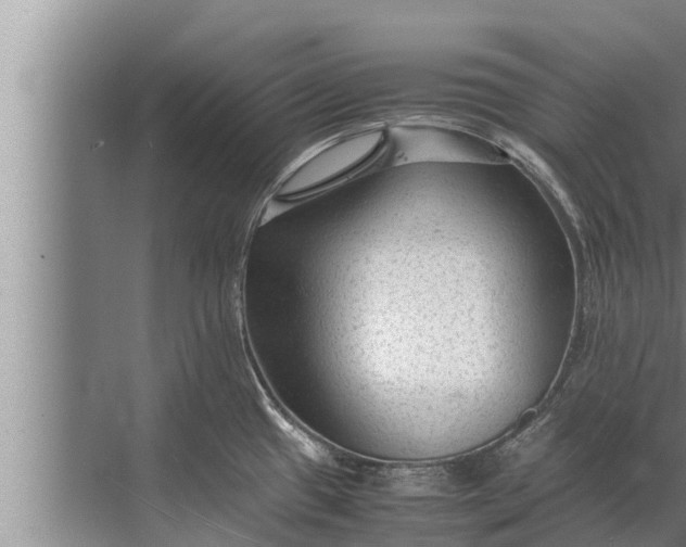 X0000072501433200607290054