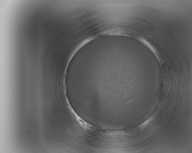 X0000072501434200607290054