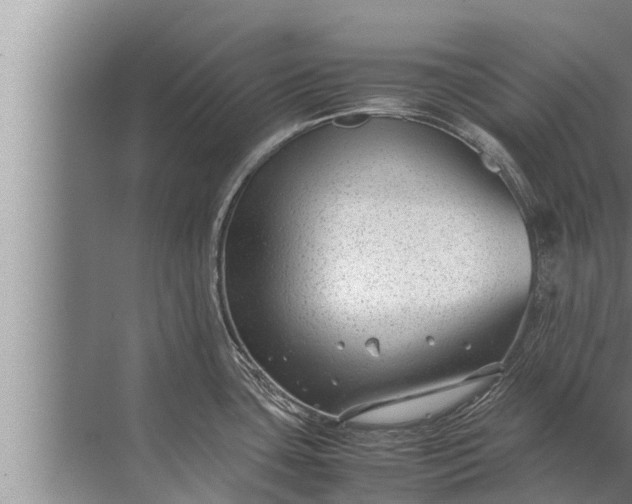 X0000072501435200607290054