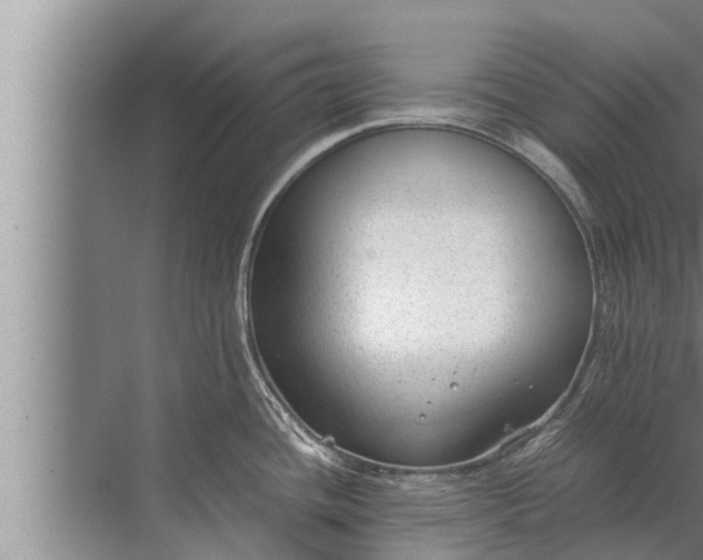 X0000072501436200607290054