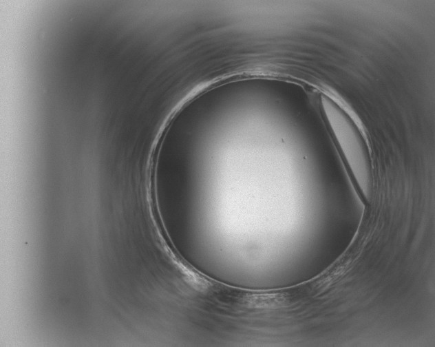 X0000072501437200607290054