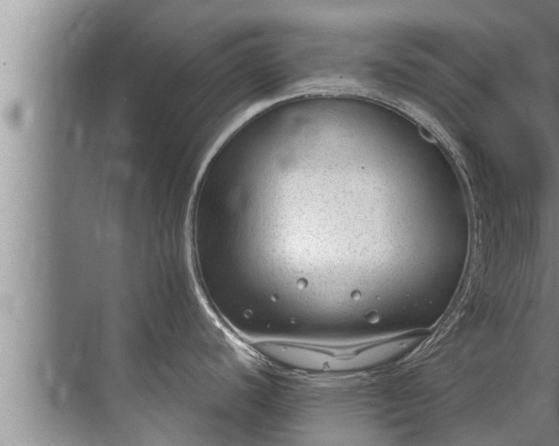 X0000072501440200607290054