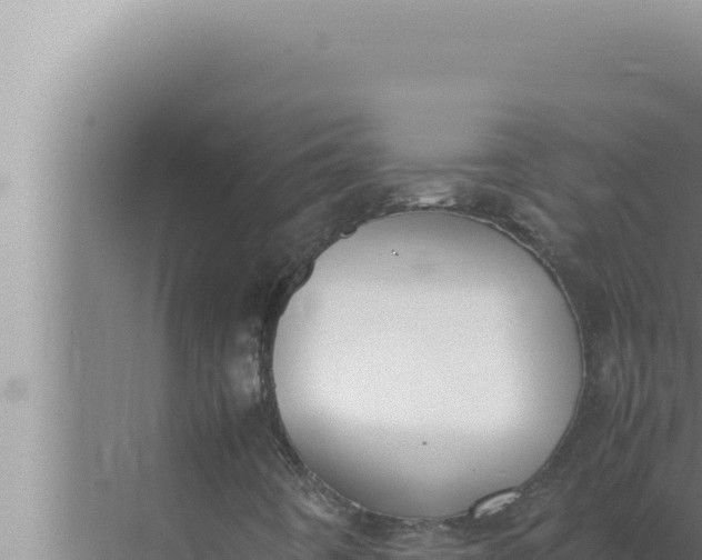 X0000072501442200607290053