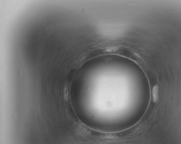 X0000072501443200607290053