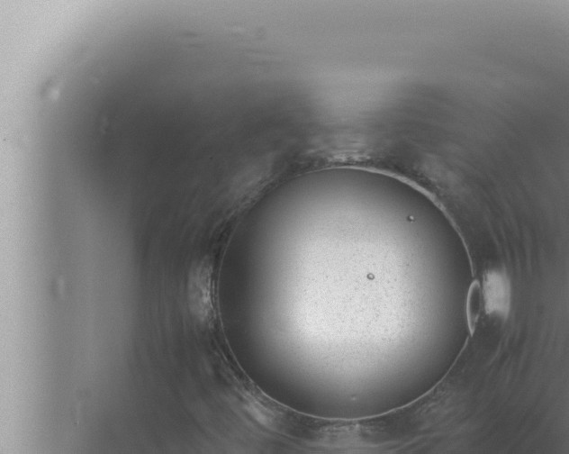 X0000072501444200607290053