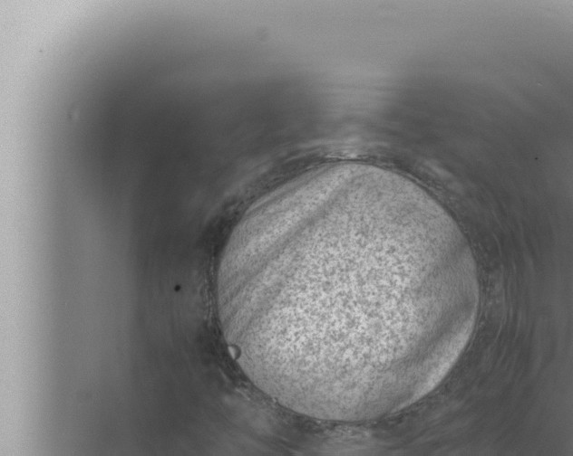 X0000072501446200607290053