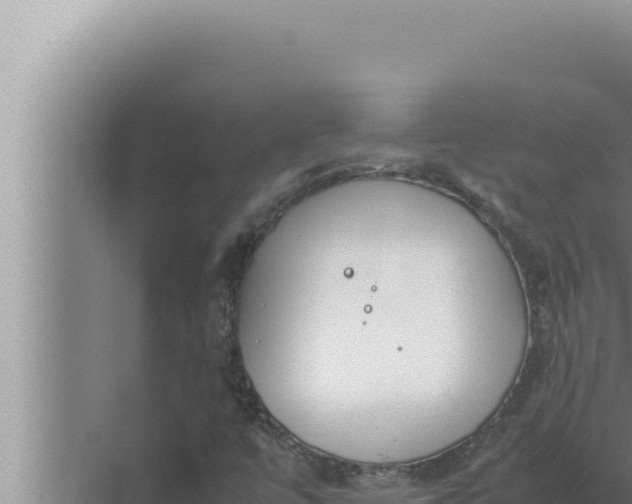 X0000072501447200607290053