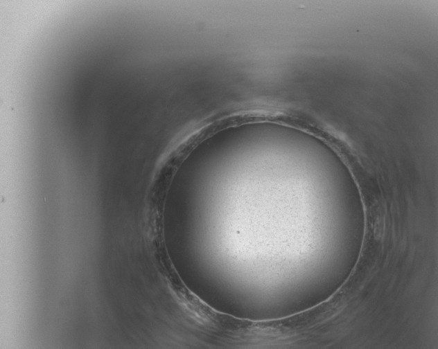 X0000072501448200607290053