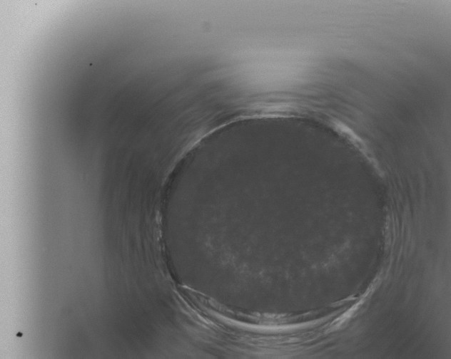 X0000072501449200607290053