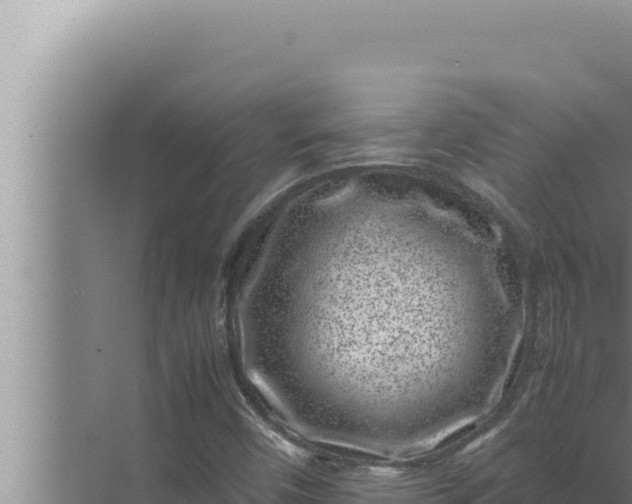 X0000072501450200607290053